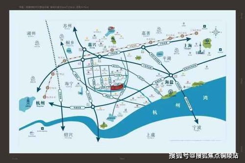 宠物住宿费用解析与须知