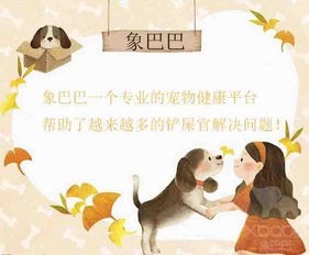 宠物健康守护秘籍