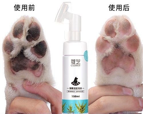 宠物狗狗肉垫护理全攻略（15个要点让你的狗狗远离肉垫问题）