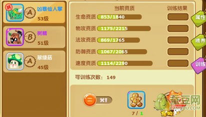 宠物护理秘籍,训练大师攻略分享!