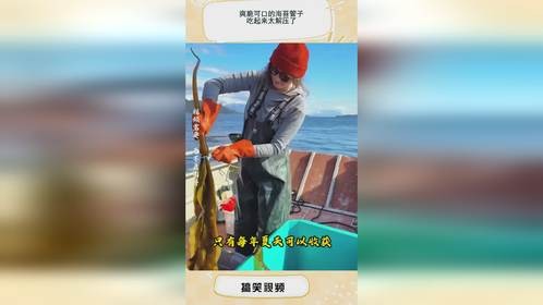 爽脆可口的海苔管子，吃起来太解压了