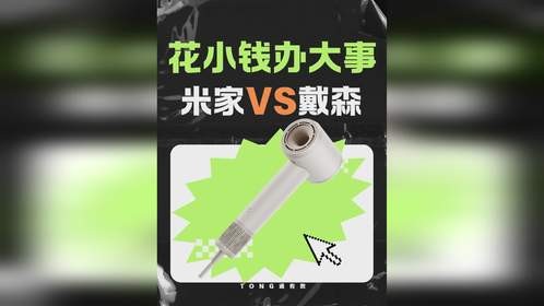 花小钱办大事，小米vs戴森