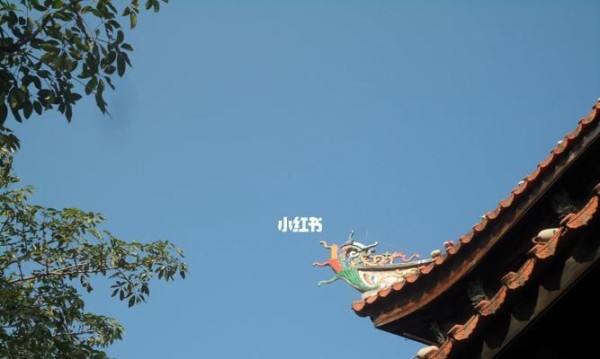 数码相机晴天使用技巧有哪些？