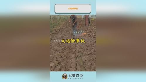 火焰除草机