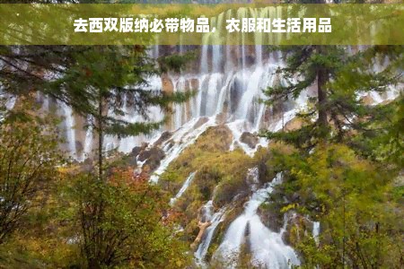 去西双版纳必带物品，衣服和生活用品