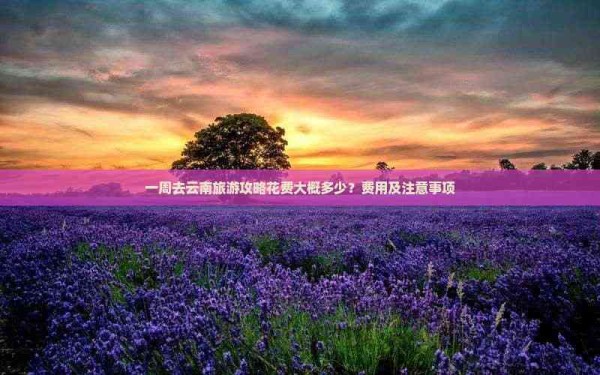 一周去云南旅游攻略花费大概多少？费用及注意事项