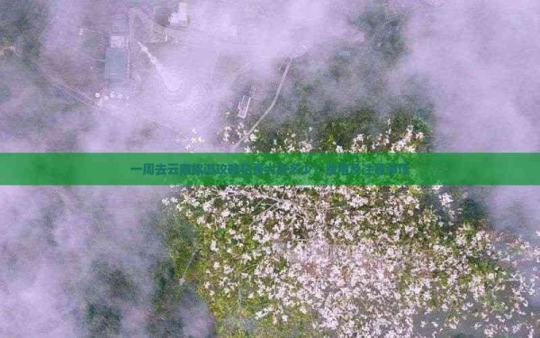 一周去云南旅游攻略花费大概多少？费用及注意事项