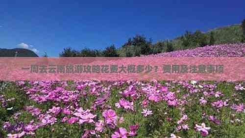 一周去云南旅游攻略花费大概多少？费用及注意事项