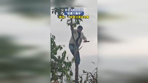 女子上树砍树枝，“这是个高手”