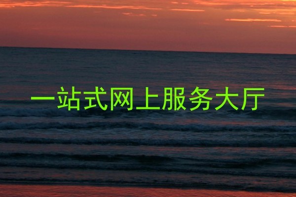 一站式网上服务大厅