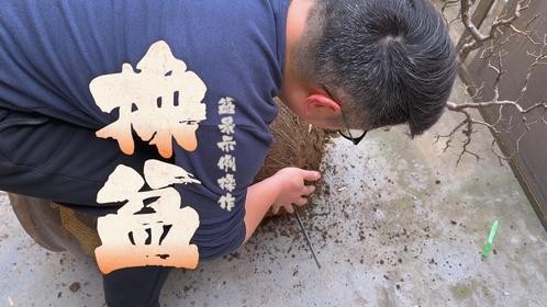 历经8年首次换盆