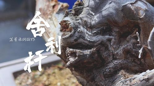生死交融之美舍利杆