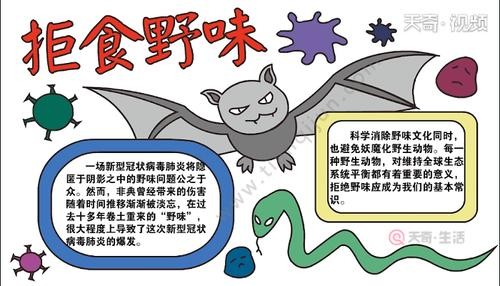 拒食野味手抄报 拒食野味画报 - 天奇生活