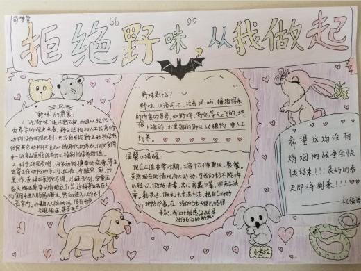 野味之蛊生活之法环保之重手抄报生活手抄报