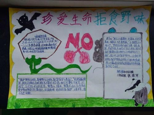 敬畏自然行有所止.库伦旗扣河子镇中心校六年四班手抄报