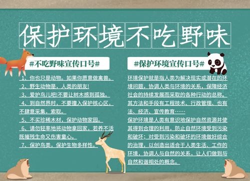 绿色简约保护环境不吃野味手抄报