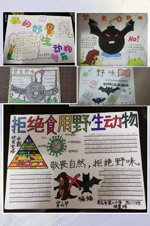 向不文明不卫生的饮食习惯宣战手抄报活动