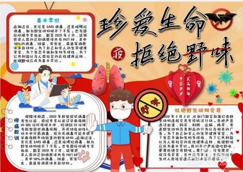 拒绝野味手抄报