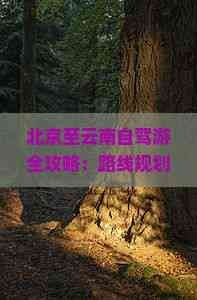 北京至云南自驾游全攻略：路线规划、景点推荐与旅行贴士