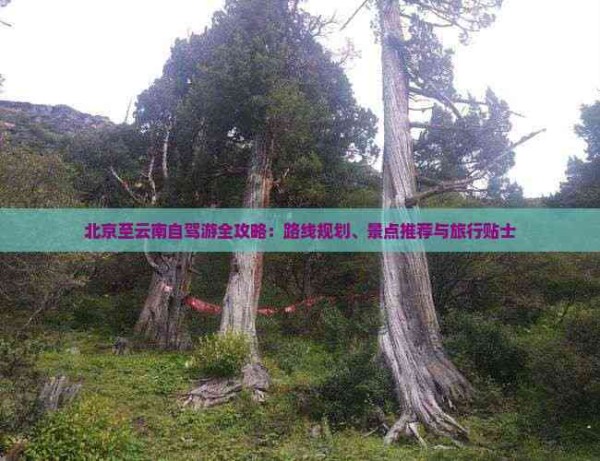 北京至云南自驾游全攻略：路线规划、景点推荐与旅行贴士