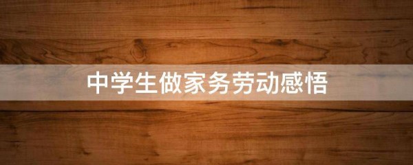 中学生做家务劳动感悟