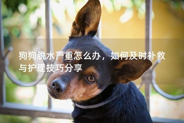 狗狗脱水严重怎么办，如何及时补救与护理技巧分享