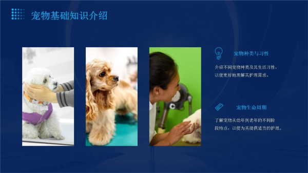宠物健康护理员培训课件_第4页