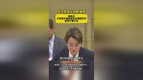 #卢浮宫遭劫长廊有4名保安 #卢浮宫馆长辞职被拒