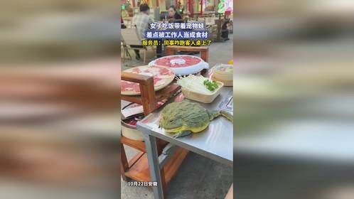 女子吃饭带着宠物蛙，差点被工作人当成食材