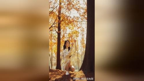 金黄落叶是秋天最大的主角,人间朝暮,叶落惊秋