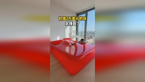 价值2万美元的床就是舒服!