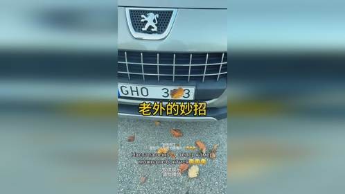 国外男子用树叶遮挡车牌,这种情况交警查吗?
