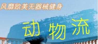 《动物流健身视频教程》风靡欧美无器械徒手健身,居家功能训练