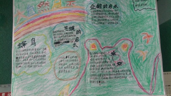 观沟小学四年级保护环境主题手抄报展