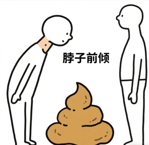 “邪修”里矫正脖子前倾的示意图,小红书@nono