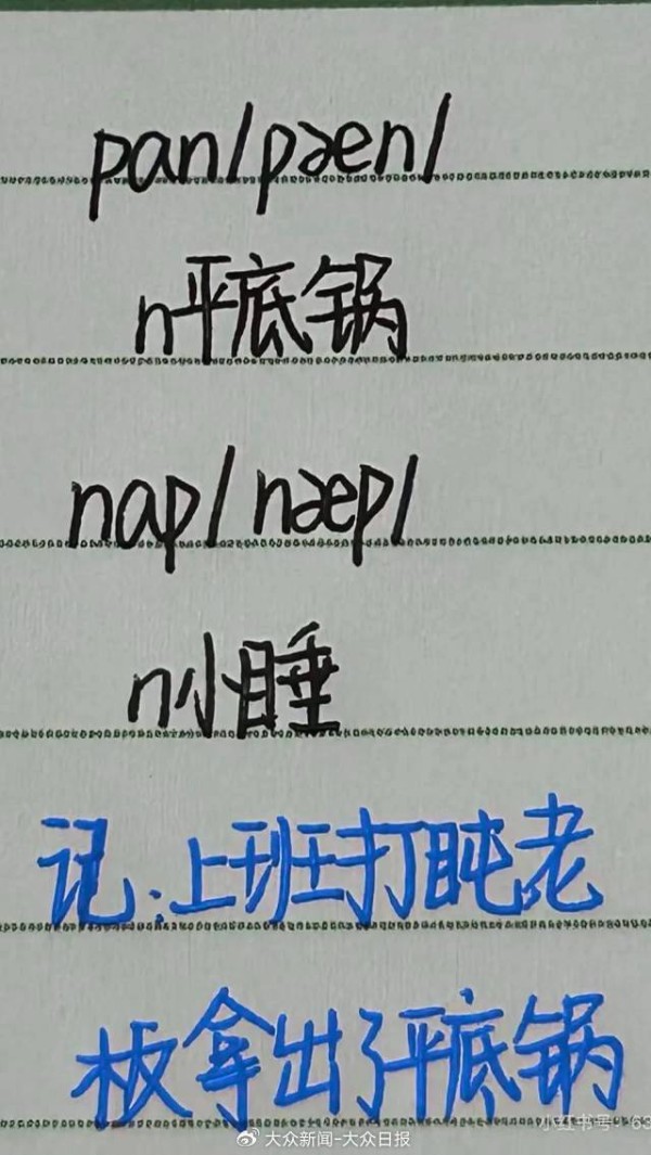 小红书@歹毒知识分子/@洋洋不知