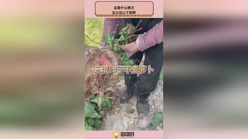 这是什么情况，怎么往山下丢啊