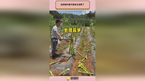 这样操作是不是有点浪费了