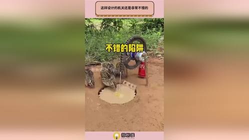 这样设计的机关还是非常不错的