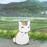 大眼猫侃世界的头像
