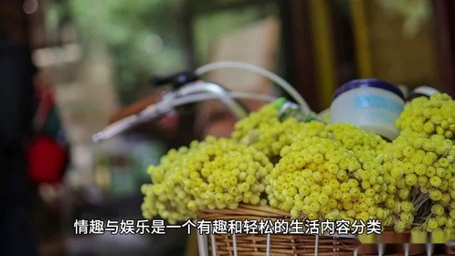 生活 生活分享 情趣与娱乐