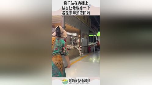 狗子站在肉摊上，试图让老板给一个，这是来攀亲戚的吗！