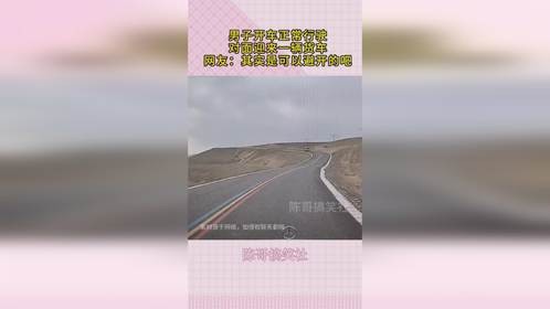 男子开车正常行驶，对面迎来一辆货车，网友：其实是可以避开的吧