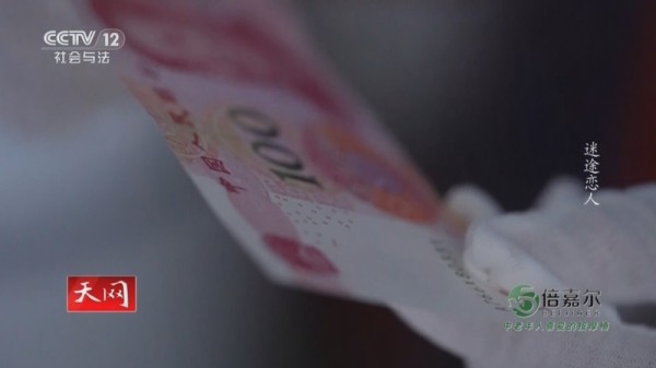 《天网》 20250929 迷途恋人