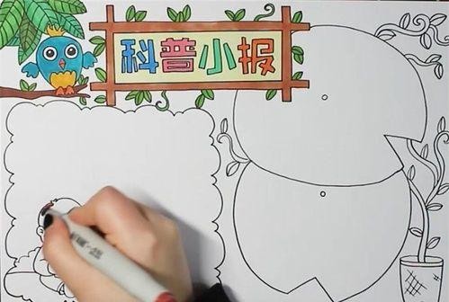 科普你我智慧生活手抄报文明你我他手抄报