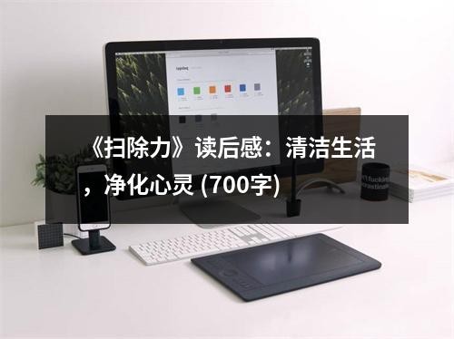 《扫除力》读后感：清洁生活，净化心灵 (700字)