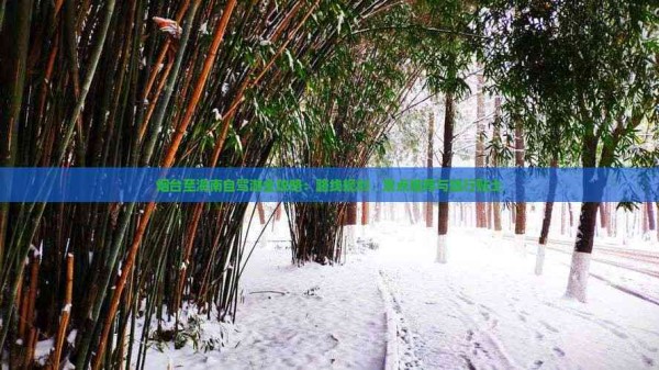 烟台至海南自驾游全攻略：路线规划、景点推荐与旅行贴士