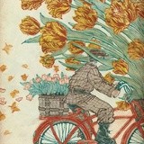 明芳