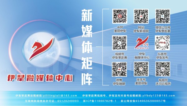 mmexport1731565792496.jpg