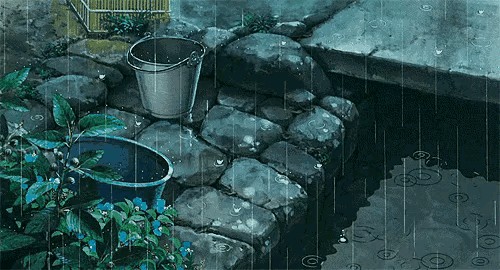 文章图片1
